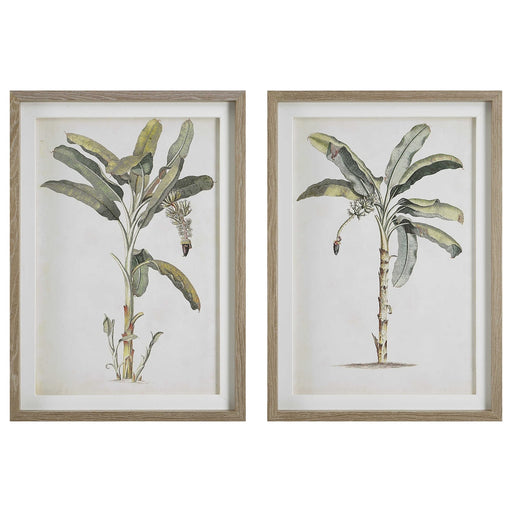 Uttermost Banana Palm Framed Prints Set of 2