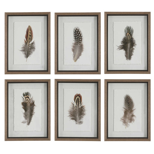 Uttermost Birds Of A Feather Framed Prints Set of 6
