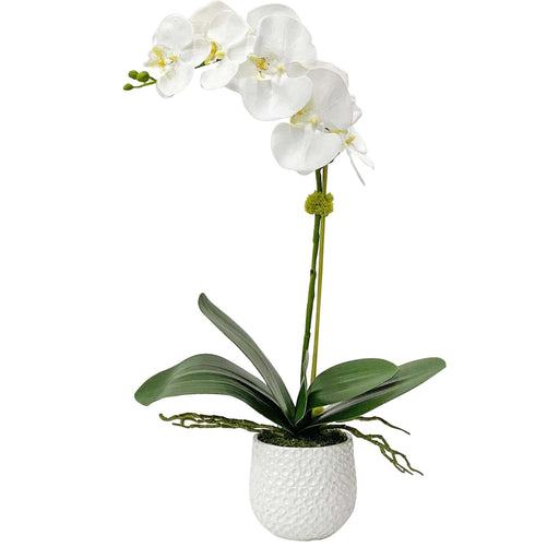 Uttermost Cami Orchid