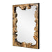 Uttermost Abraham Tamarind Wood Wall Mirror