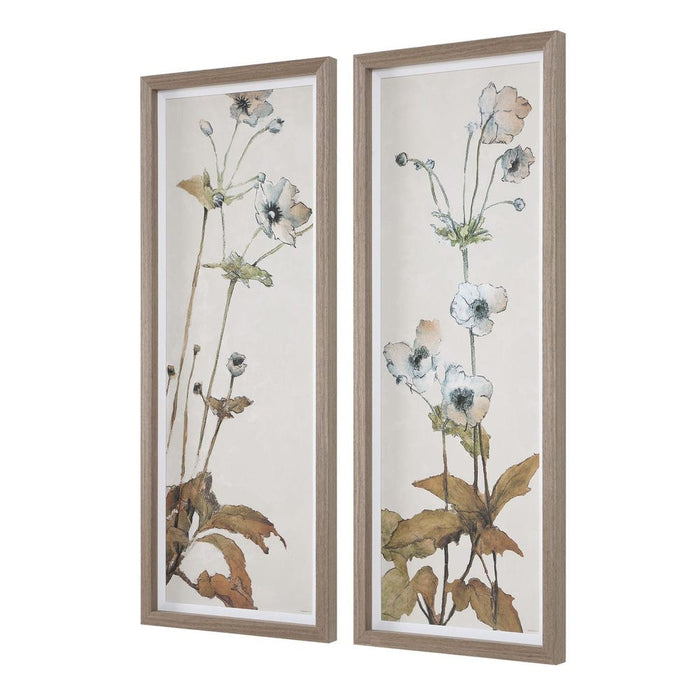 Uttermost Garden Study Framed Prints, Set of 2