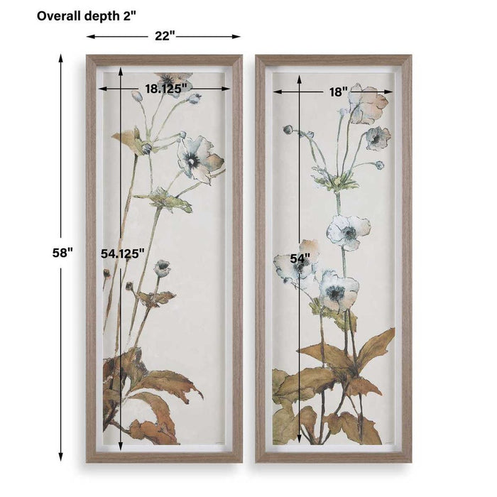 Uttermost Garden Study Framed Prints, Set of 2