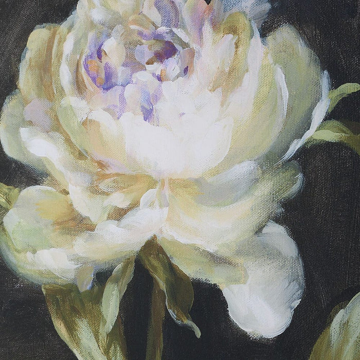 Uttermost Florals on Black Framed Prints, Set of 4