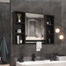 Quirubin Bathroom Mirror Cabinet