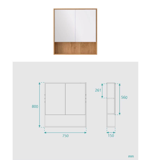 Jarren 2 Door Timber Mirror Cabinet