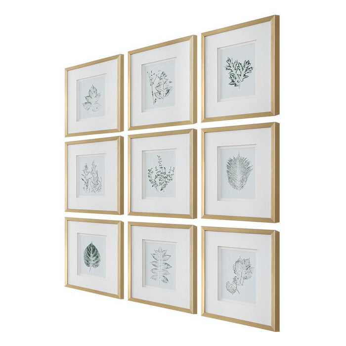 Uttermost Nature's Script Framed Prints - Set of 9