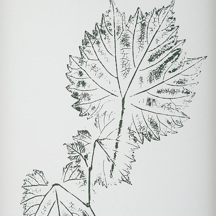 Uttermost Nature's Script Framed Prints - Set of 9