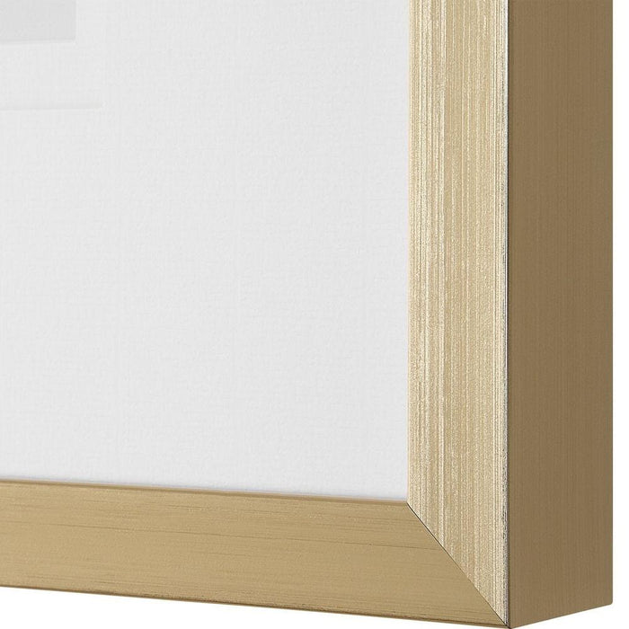 Uttermost Nature's Script Framed Prints - Set of 9