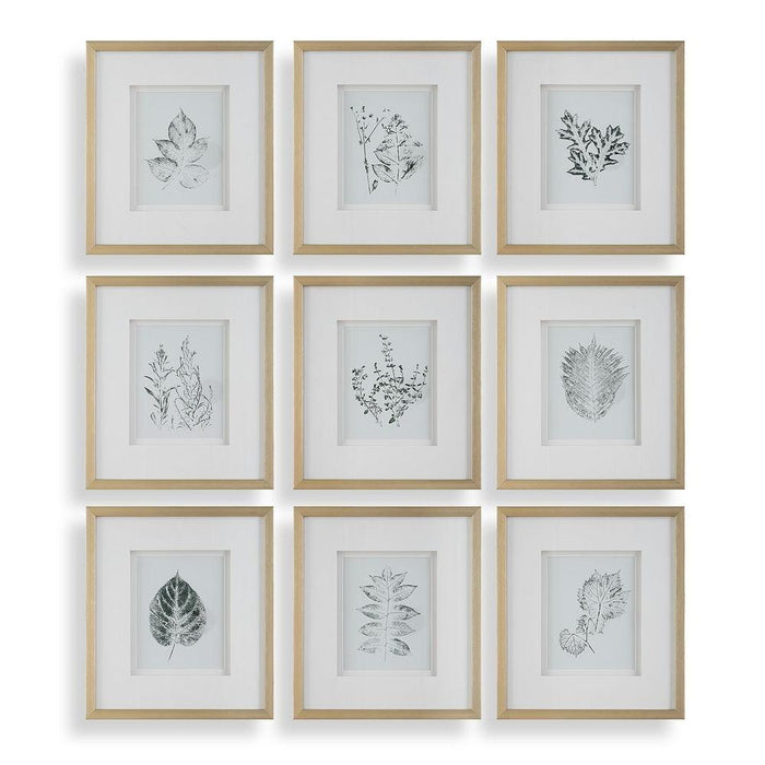 Uttermost Nature's Script Framed Prints - Set of 9