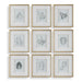 Uttermost Nature's Script Framed Prints - Set of 9