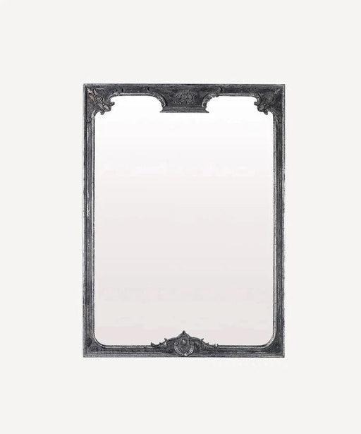 Devany Rectangle Wall Mirror