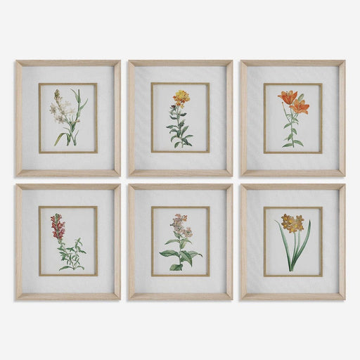Uttermost Classic Botanicals Framed Prints Set of 6
