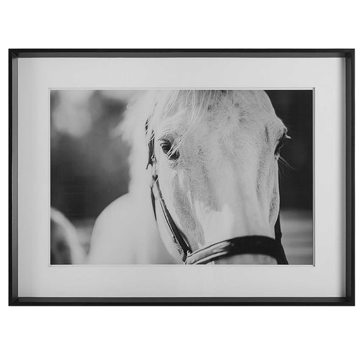 Uttermost Eyes On The Prize Frame Print