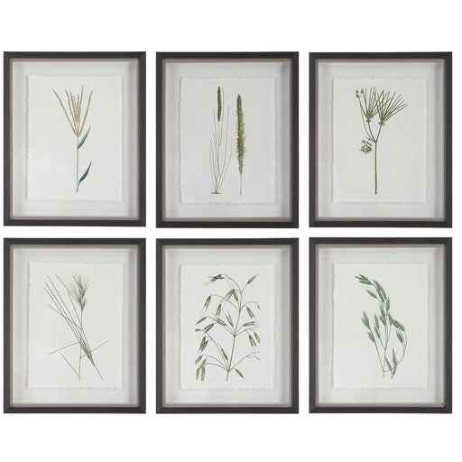 Uttermost Forest Finds Framed Prints Set Of 6
