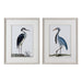 Uttermost Shore Birds Framed Prints Set Of 2 - SHINE MIRRORS AUSTRALIA