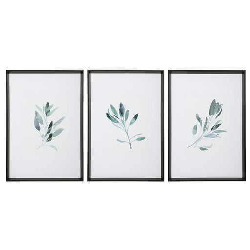 Uttermost Simple Sage Watercolor Prints, Set Of 3 - SHINE MIRRORS AUSTRALIA